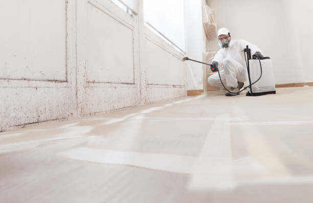 Black mold remediation team in Mount Airy